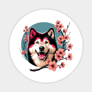 Kishu Ken Celebrates Spring Amid Cherry Blossoms Magnet